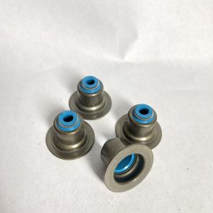 Goma de valvula Ford Focus 2.0L/121 - Ranger 2.3L
